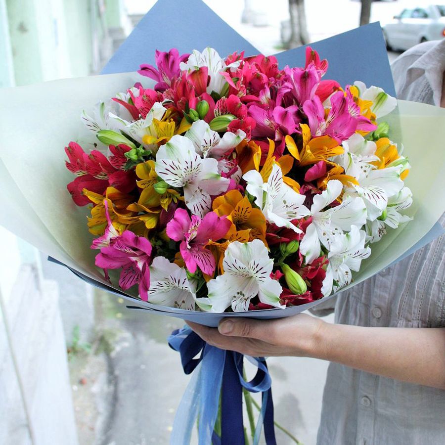 Rainbow M в Нижнем Новгороде