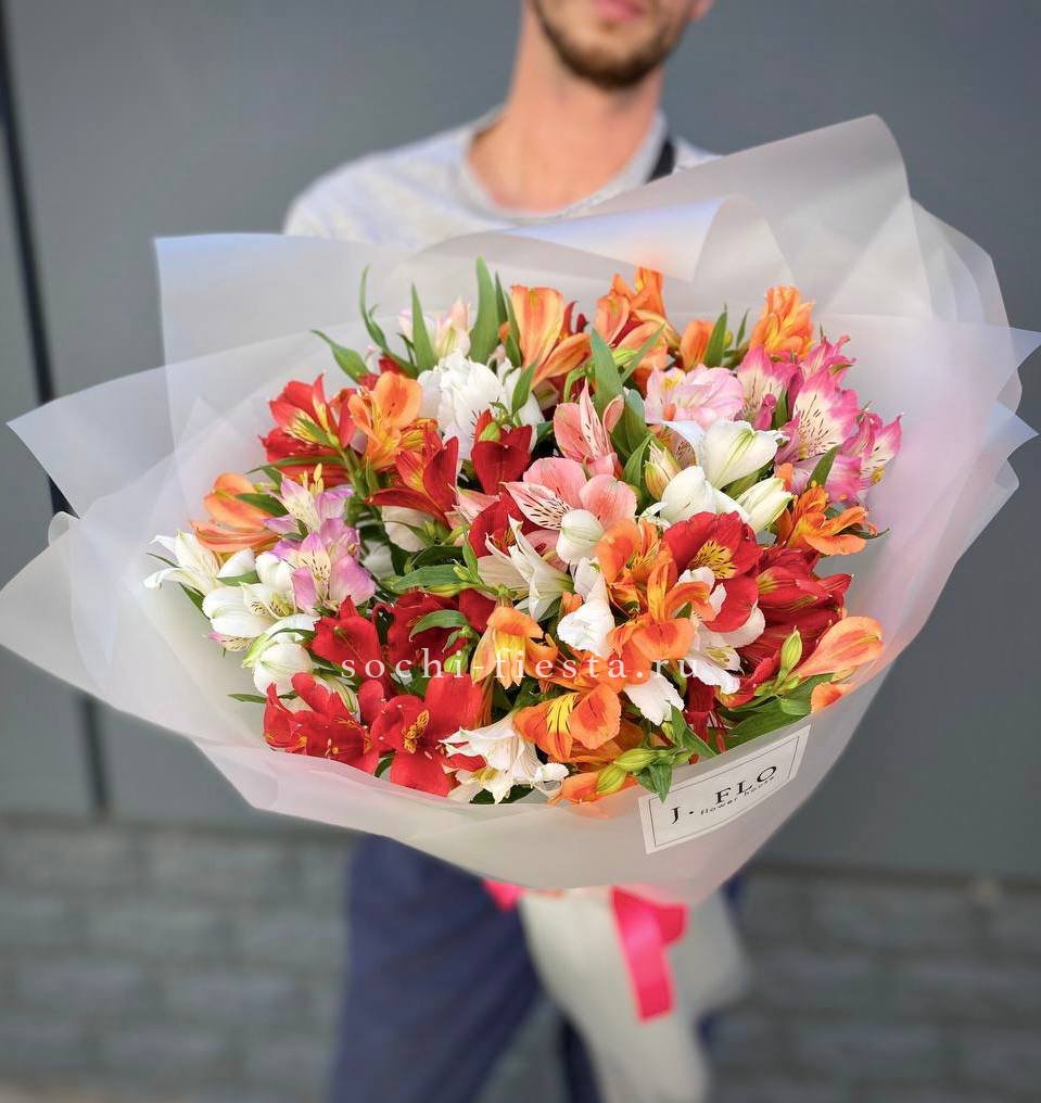 Rainbow XL в Нижнем Новгороде