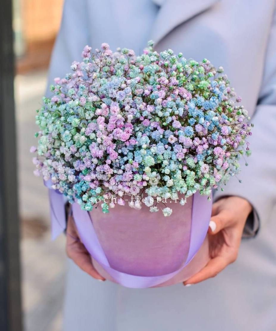 Гипсофилы в шляпной коробке "Candyland" в Нижнем Новгороде