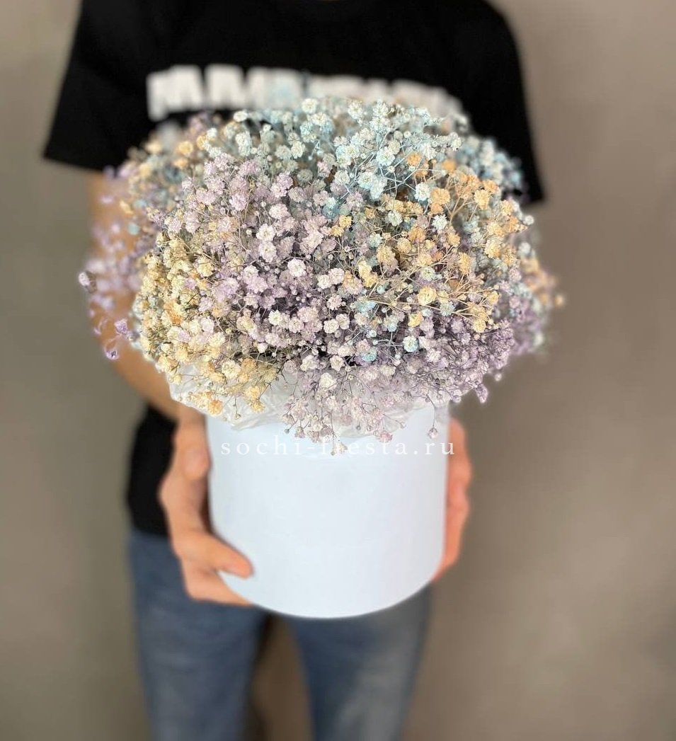 9 Радужных гипсофил в шляпной коробке в Нижнем Новгороде