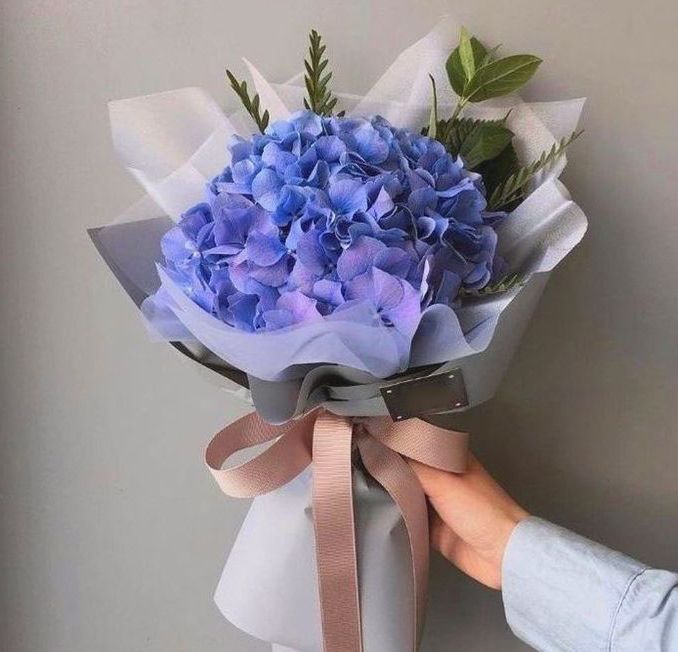 Гортензия "Blue" в Нижнем Новгороде