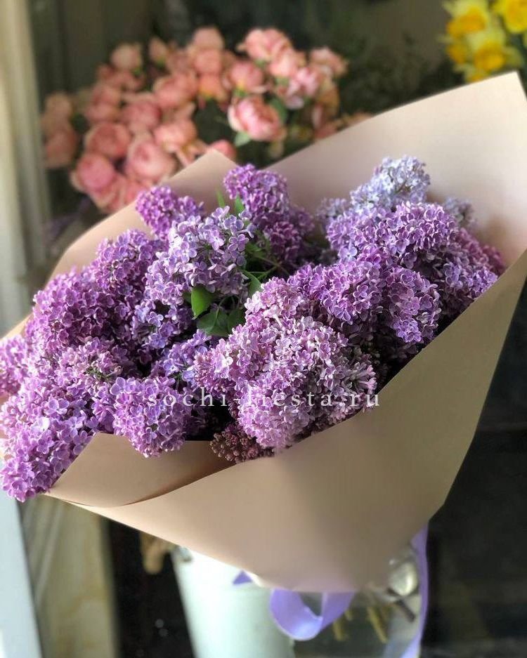 Букет сирени №2 в Нижнем Новгороде