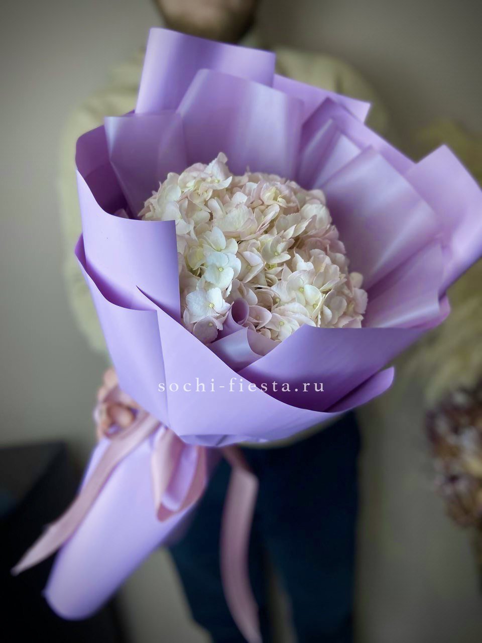 Гортензия UNO Розовая в Нижнем Новгороде