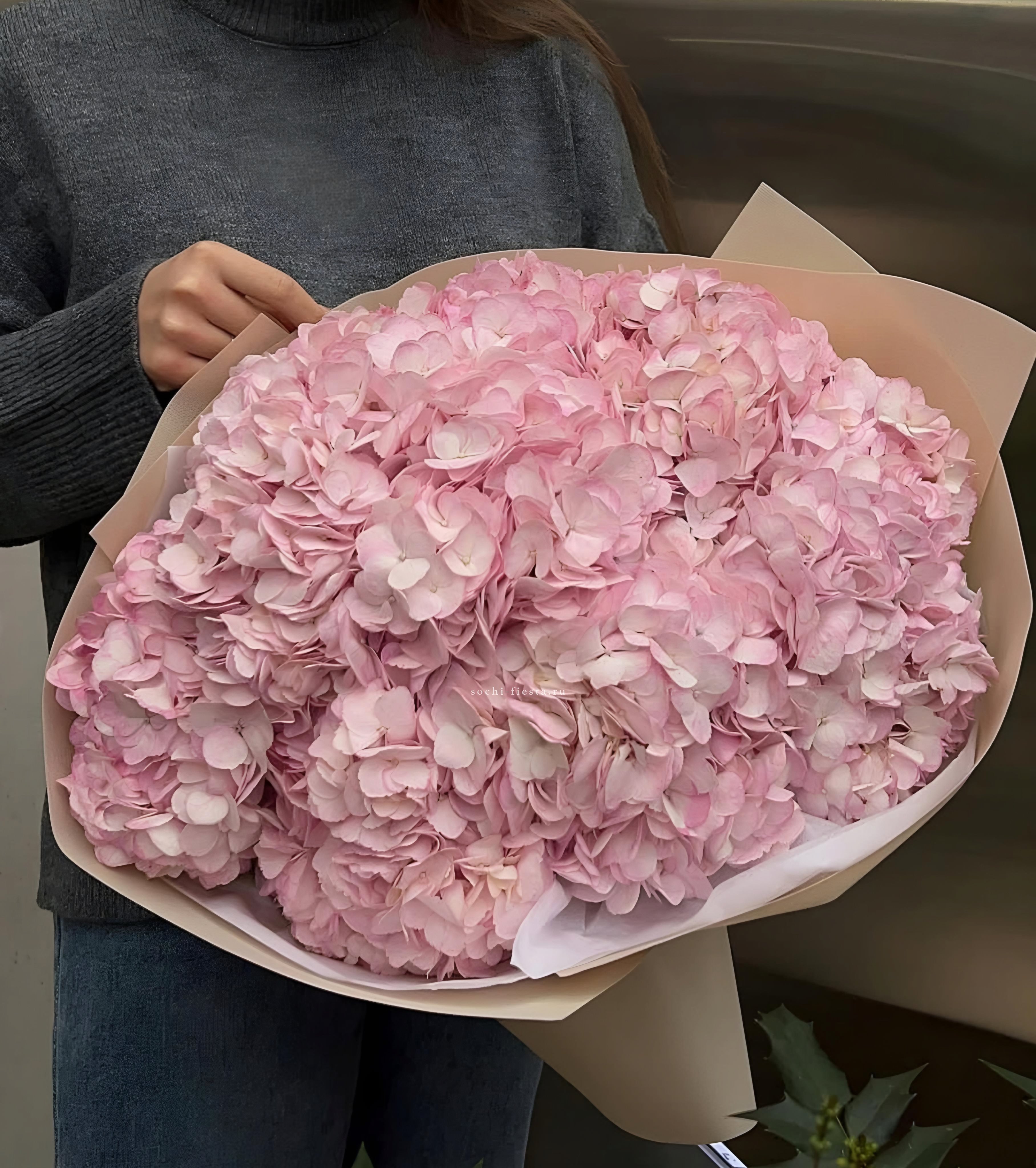 Гортензия  "Rose clouds" в Нижнем Новгороде