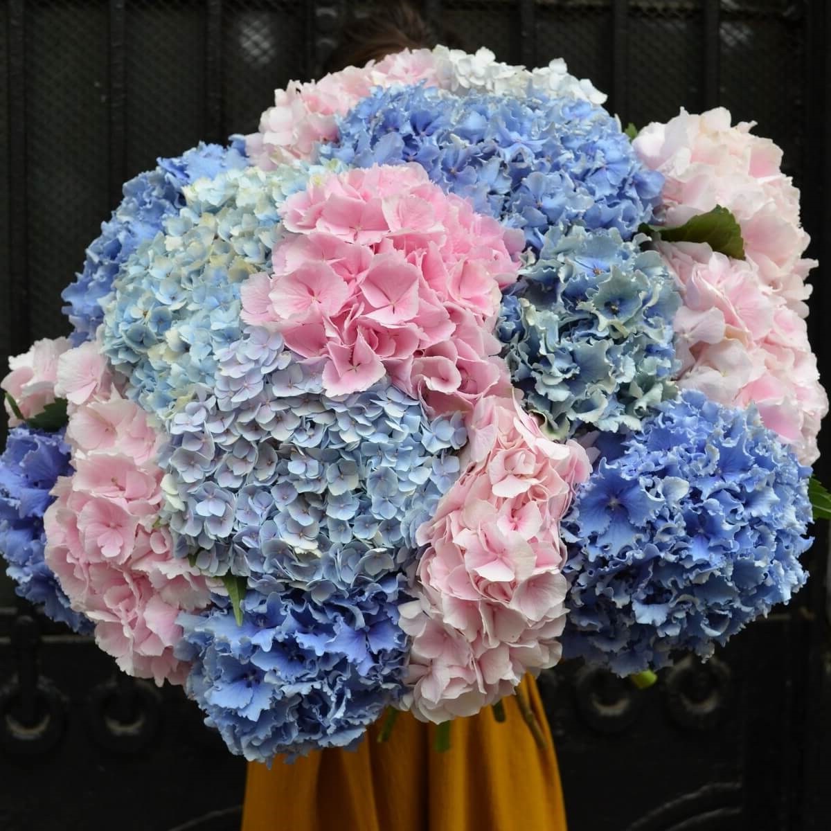 Букет гортензий Fountain в Нижнем Новгороде