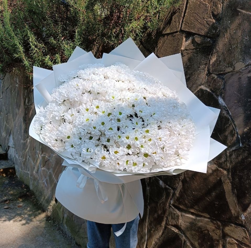 Облако хризантем №2 в Нижнем Новгороде