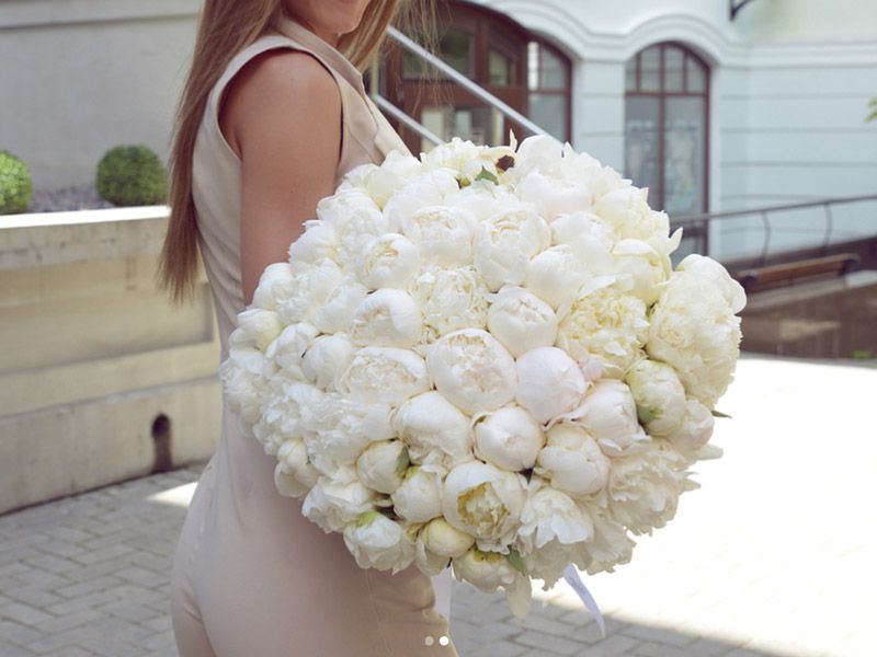 51 белый пион в Нижнем Новгороде