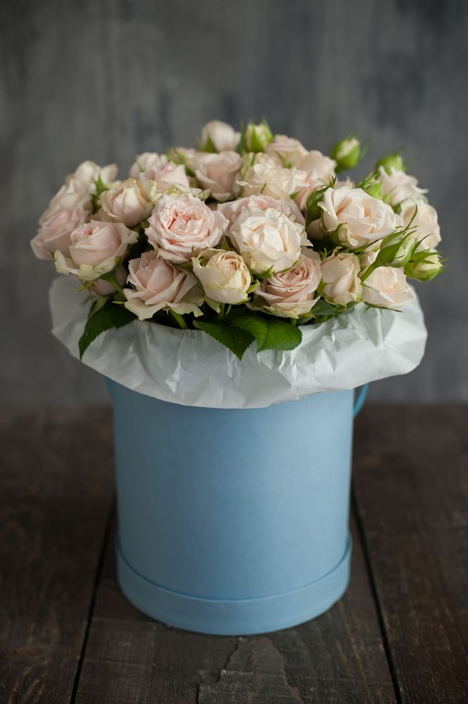 Flowerbox Sky в Нижнем Новгороде