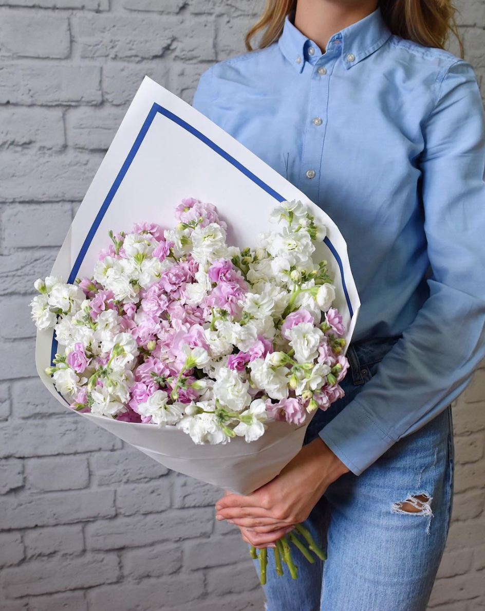 Маттиоли в Нижнем Новгороде