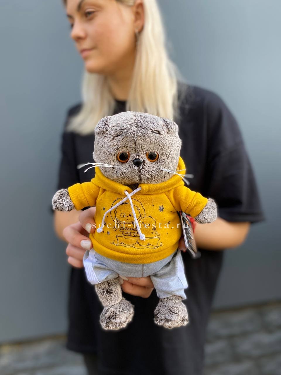 Кот Басик в худи в Нижнем Новгороде