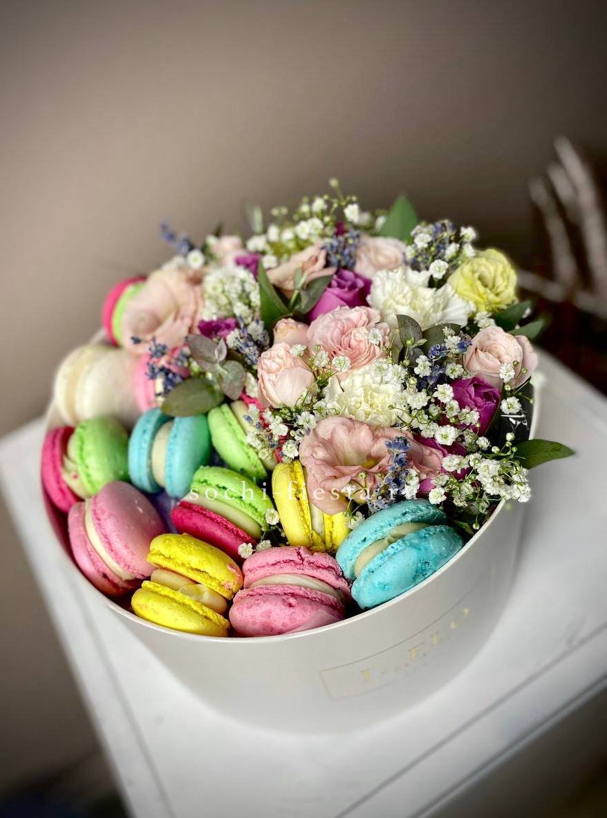 Creambox L в Нижнем Новгороде