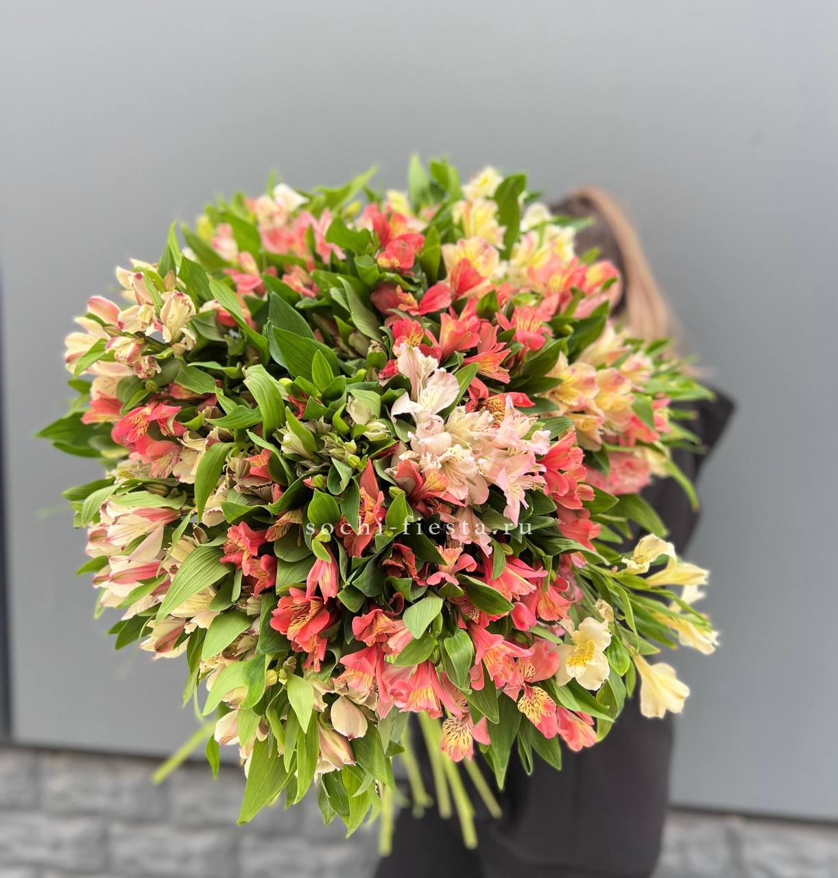 51 альстромерия в Нижнем Новгороде