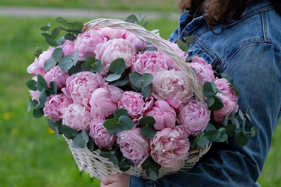 51 пион в корзине в Нижнем Новгороде