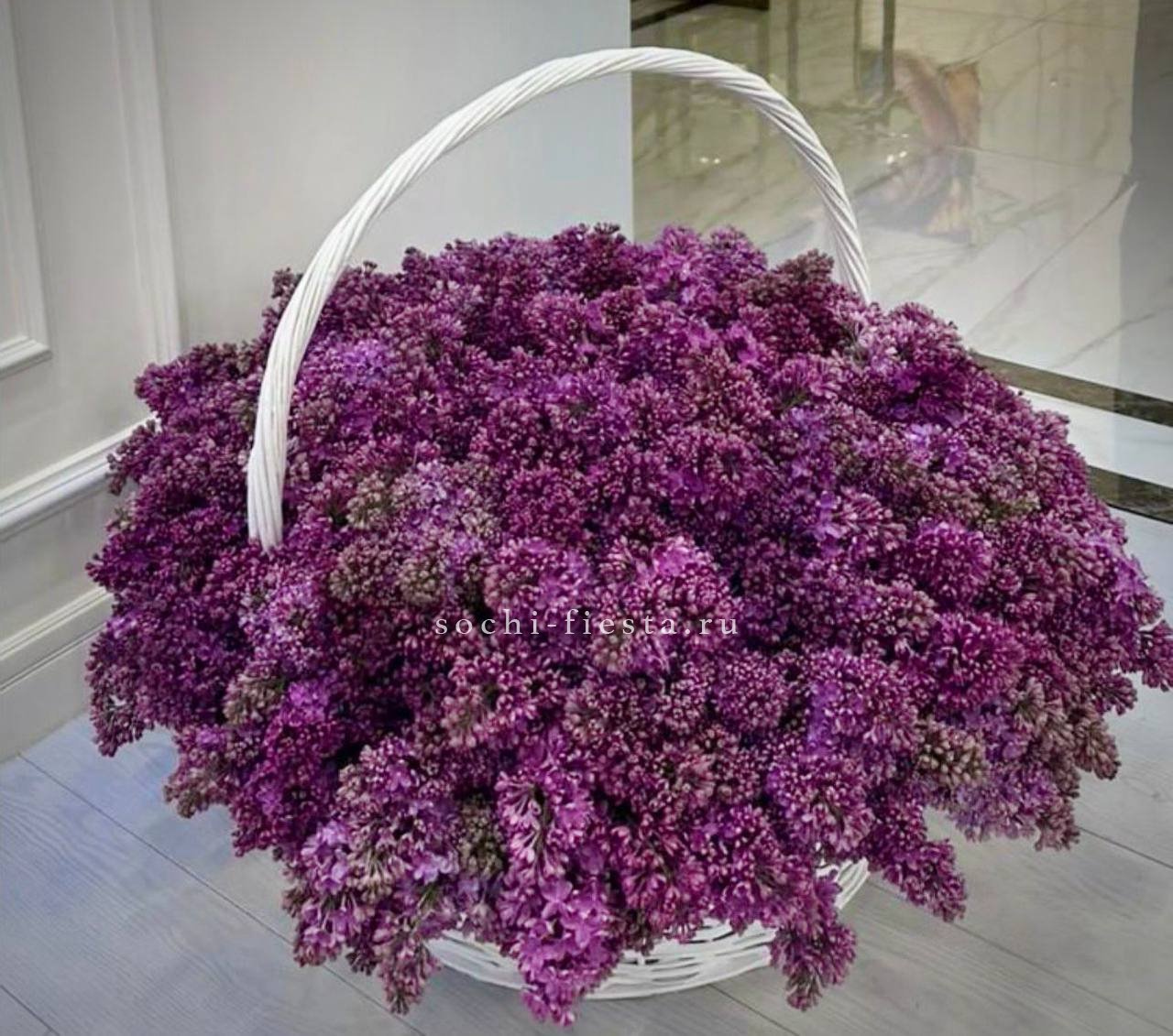 Корзина сирени в Нижнем Новгороде