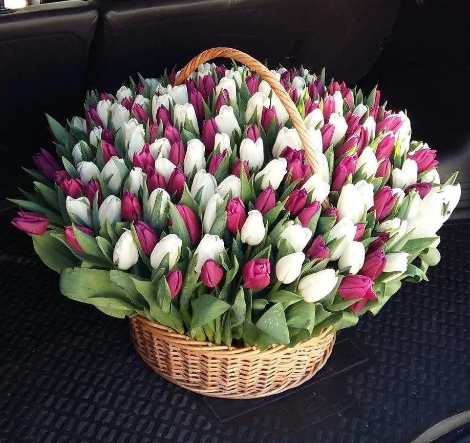 Корзина из 151 тюльпана MIX в Нижнем Новгороде