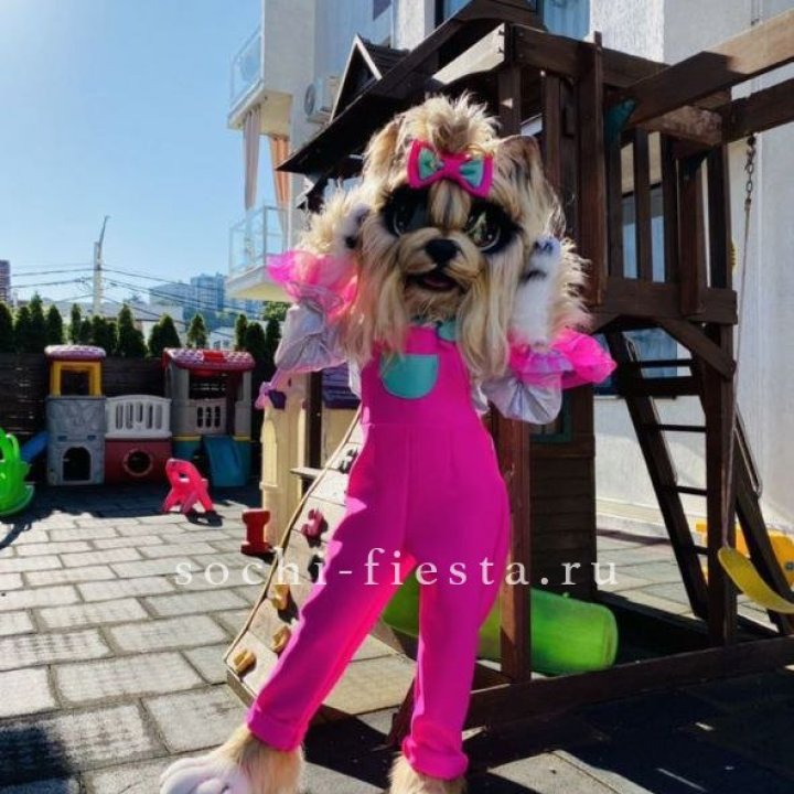 Аниматор Гламурная Собака в Сириусе