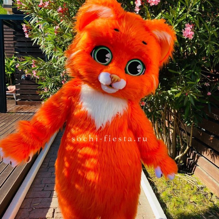 Аниматор Котик в Сириусе