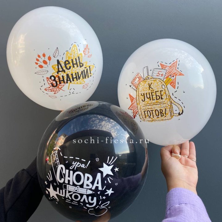 Воздушный шар к 1 сентября в Сириусе