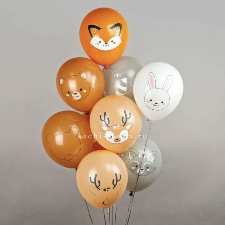 Воздушный шар "Животные" в Сириусе