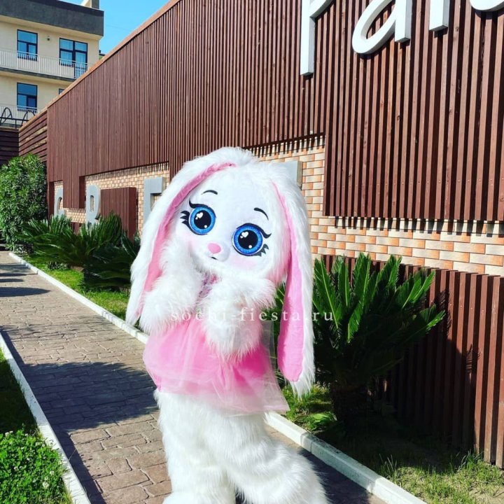 Аниматор Зайка в Сириусе