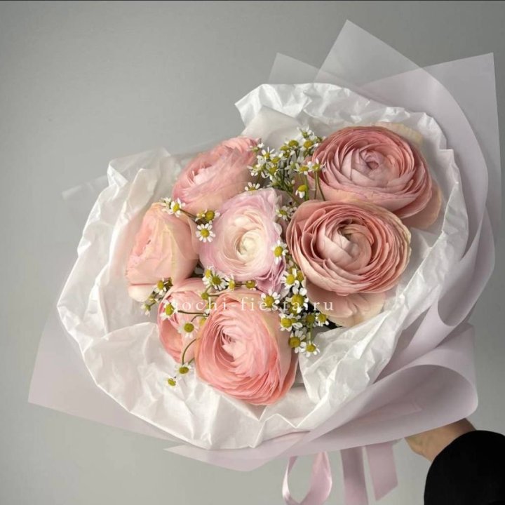 Ранункулюсы с ромашками в Нижнем Новгороде