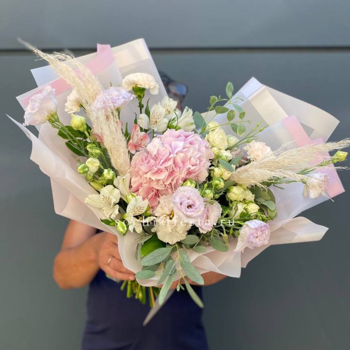 Гортензия "Пинк флоид" в Нижнем Новгороде