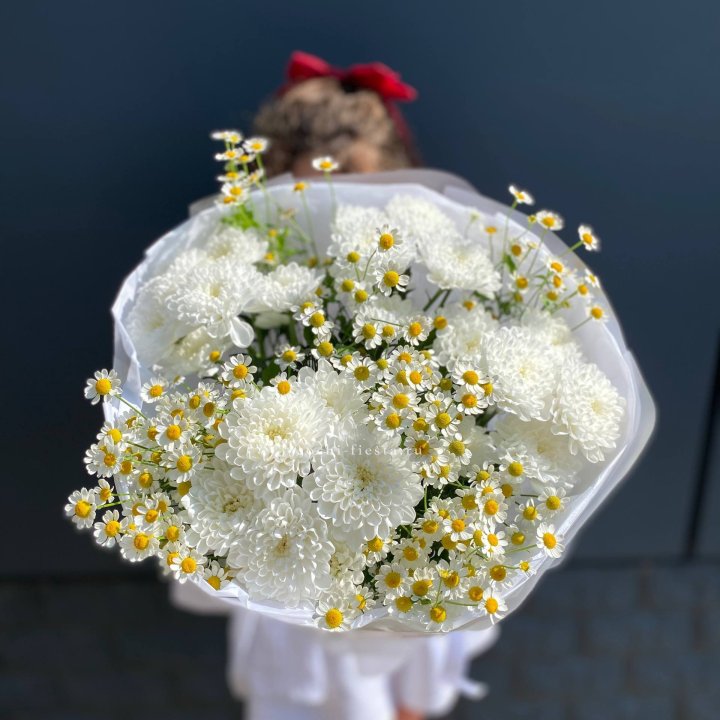 Дуо хризантемы и ромашки в Сириусе