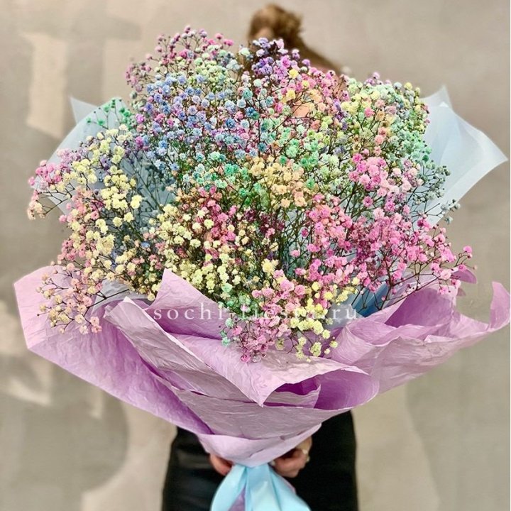 Радужные гипсофилы №2 в Сириусе