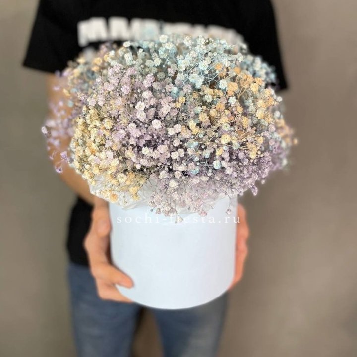 9 Радужных гипсофил в шляпной коробке в Нижнем Новгороде