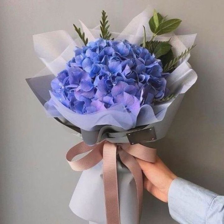 Гортензия голубая в Нижнем Новгороде