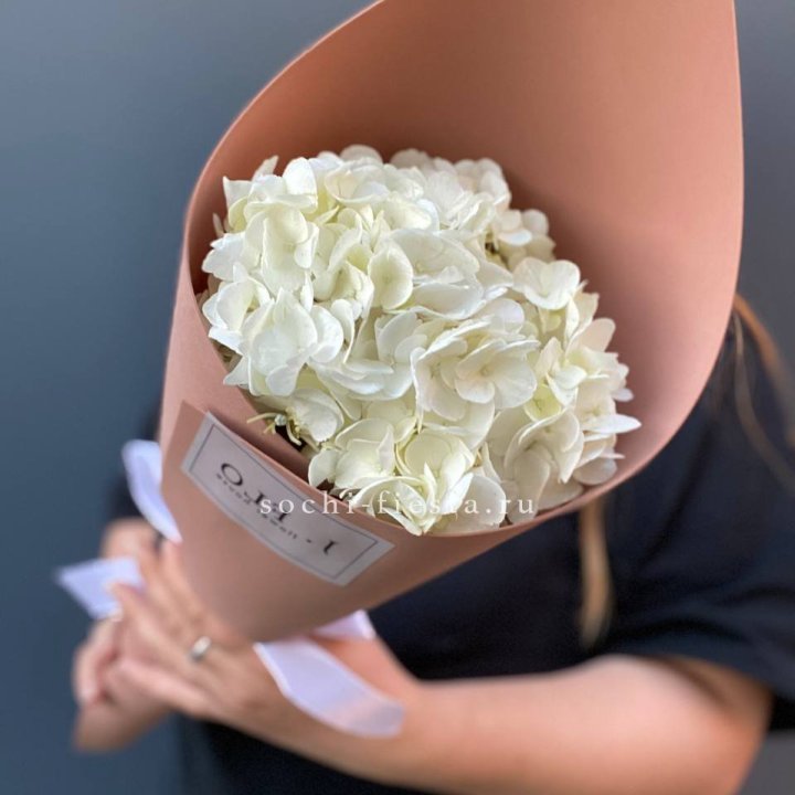 Гортензия в конверте в Сириусе