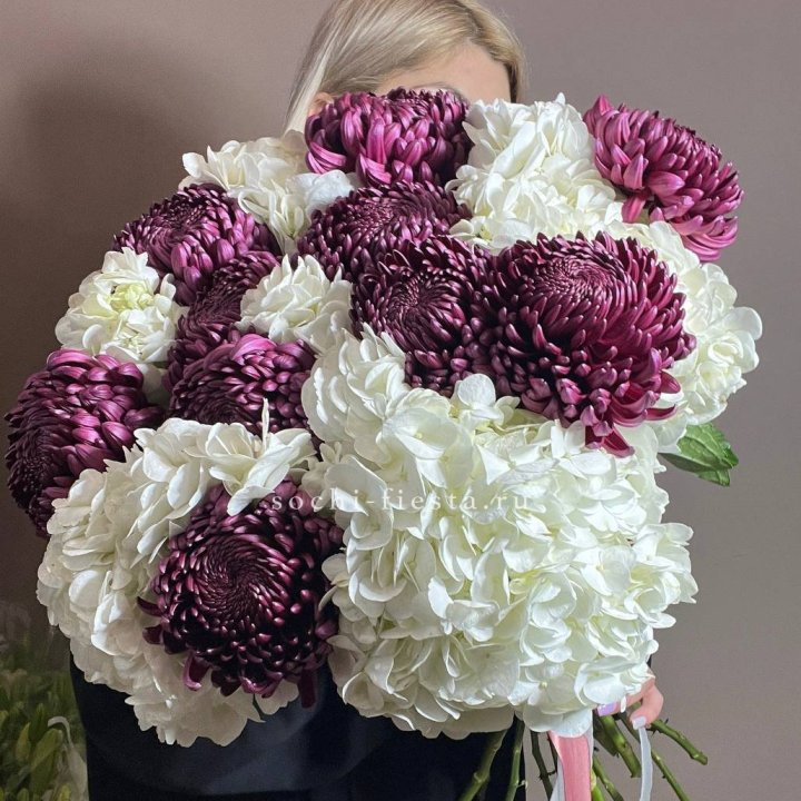 Охапка Бигуди и гортензий в Сириусе