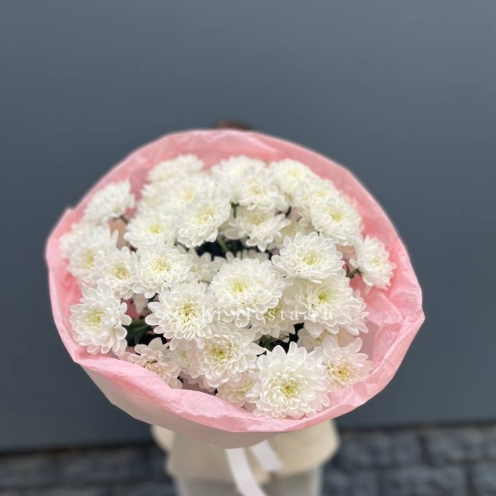  5 хризантем  с доставкой в Сириусе