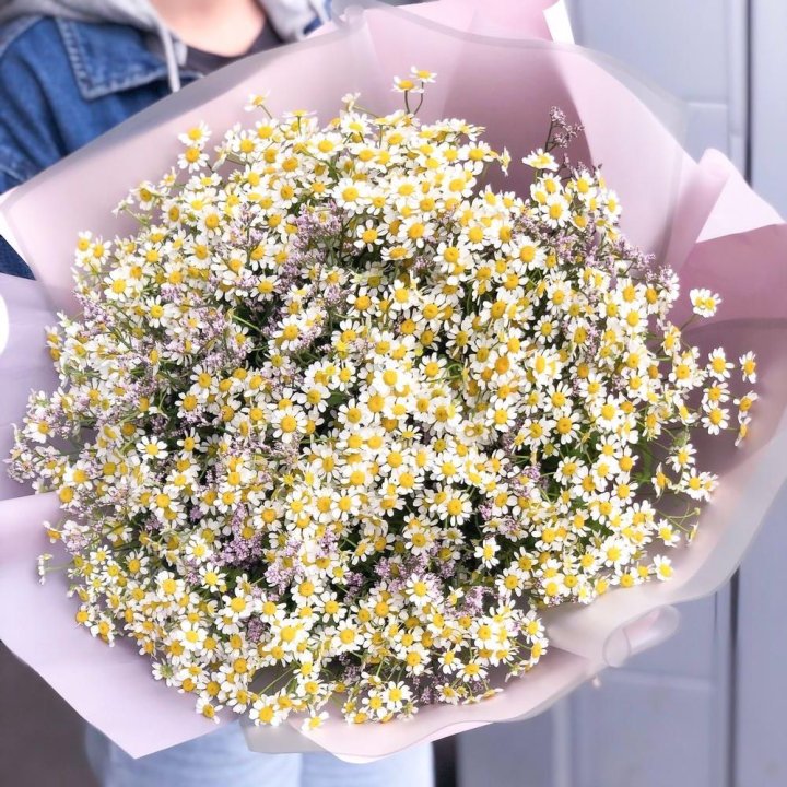 Букет ромашек №1 в Сириусе