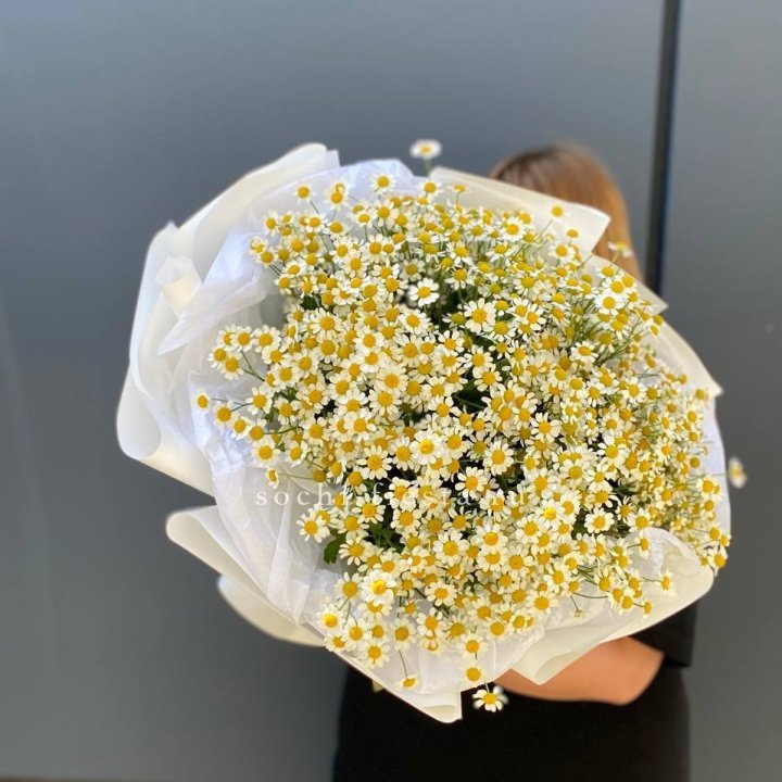 Букет ромашек "Фемели" в Сириусе