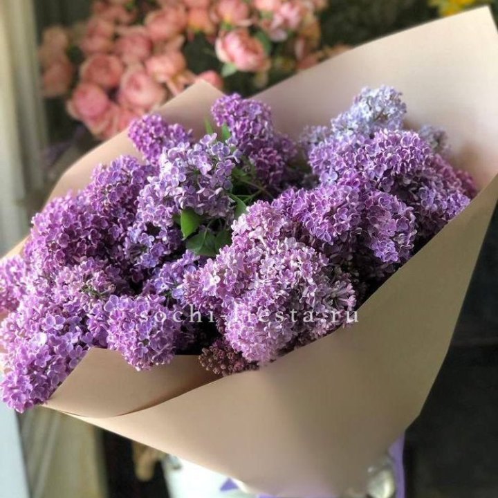 Букет сирени №2 в Нижнем Новгороде