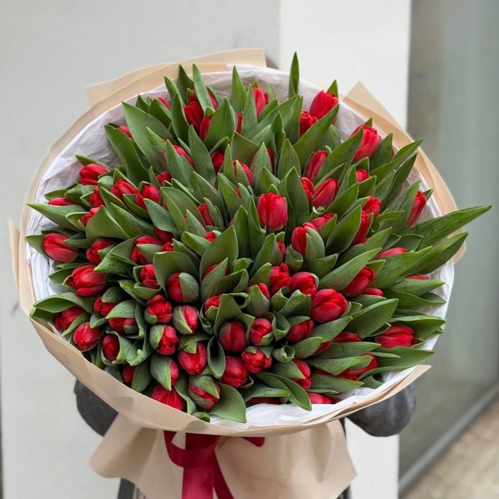 101 красный тюльпан в Сириусе