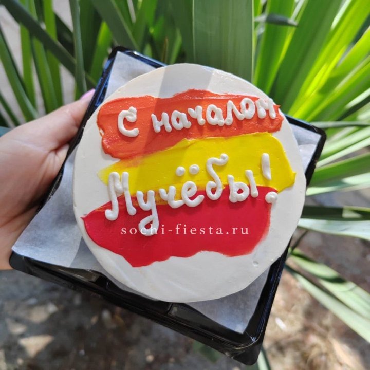 Бенто-торт "С началом учёбы"" в Сириусе