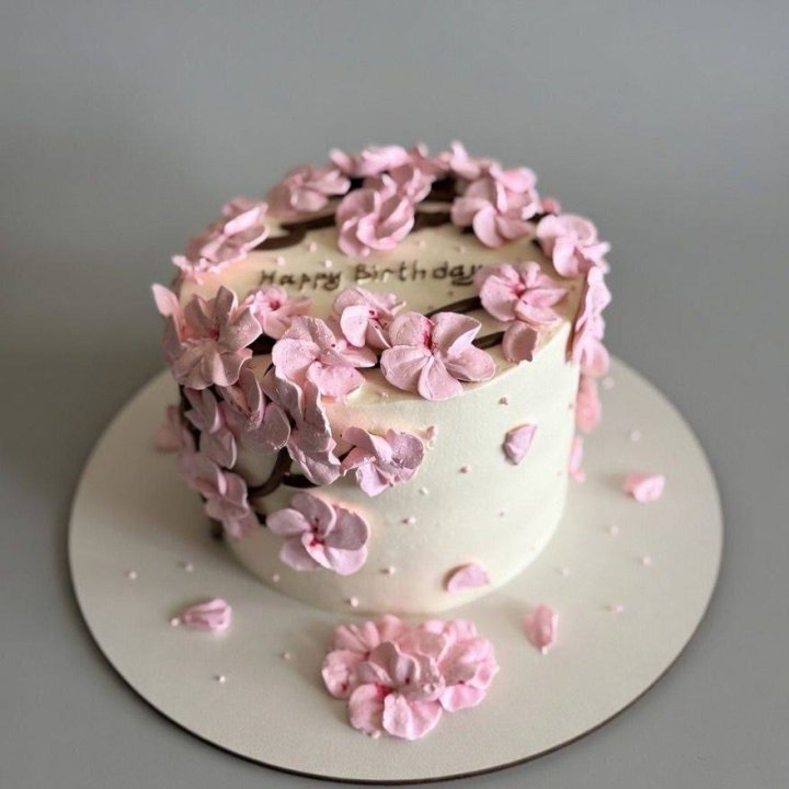 Бенто-торт "С днём рождения..." в Сириусе