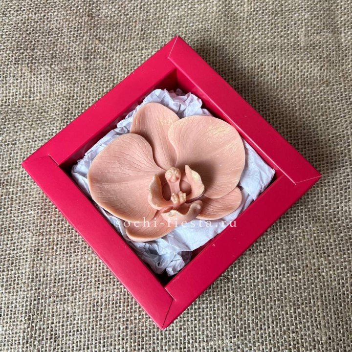 Бельгийский шоколад Орхидея в Сириусе