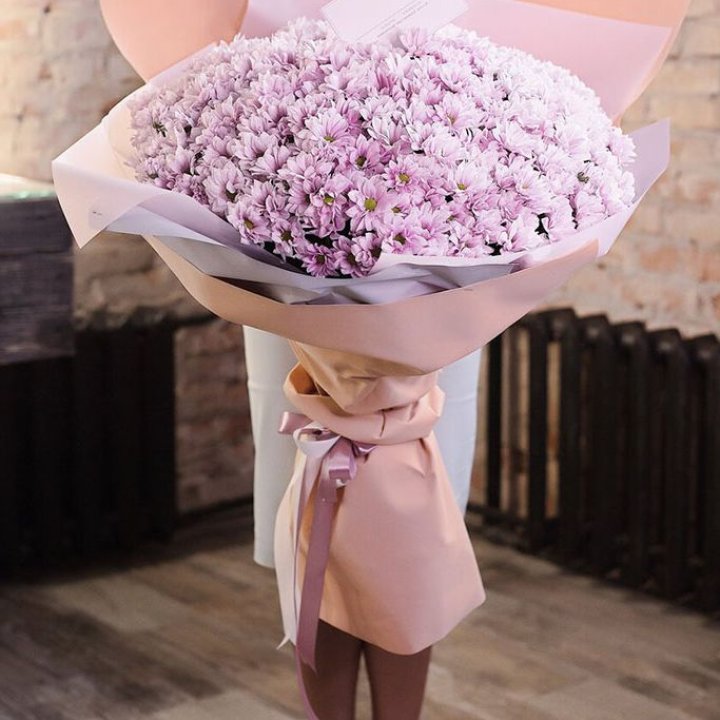 Облако хризантем №1 в Нижнем Новгороде