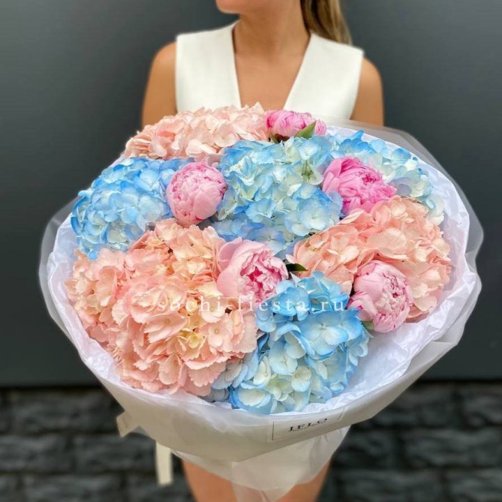 Дуобукет гортензии с пионами  в Сириусе