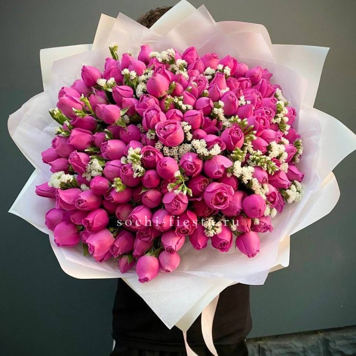 51 пионовидная Мисти Баблс  в Сириусе