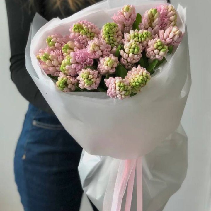 19 розовых гиацинтов в Сириусе
