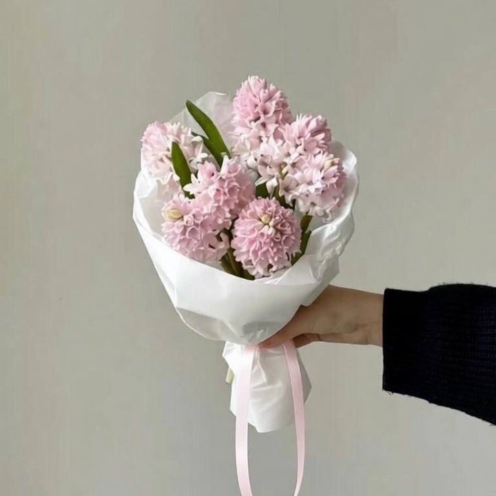 7 розовых гиацинтов в Сириусе