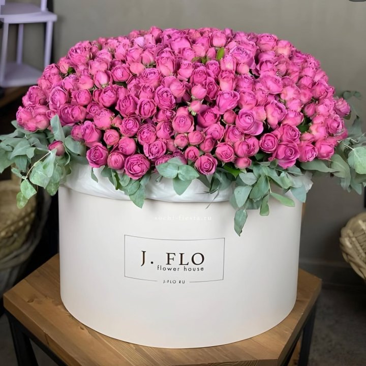 Цилиндр с Мисти Бабблс  в Сириусе