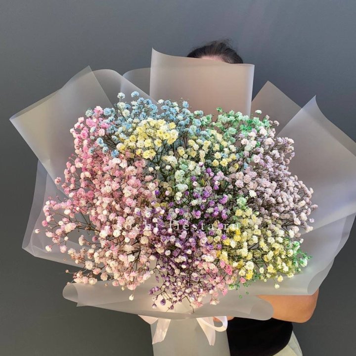 Радужные гипсофилы  в Сириусе