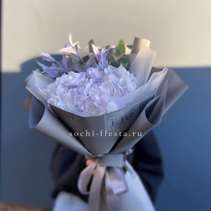 Гортензия "Виолета" в Сириусе