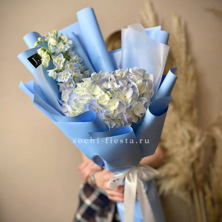 Гортензия "Блю скай" в Сириусе