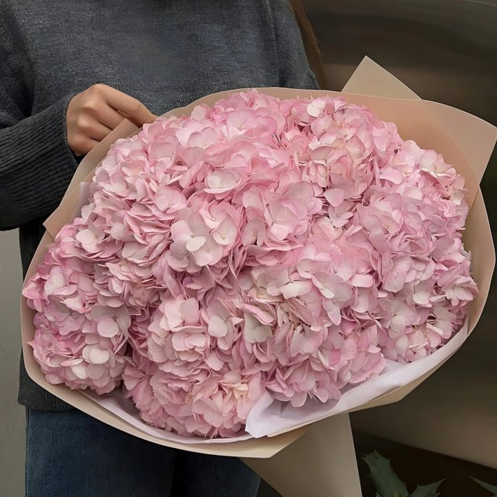 Гортензия  "РОЗЕ" в Нижнем Новгороде